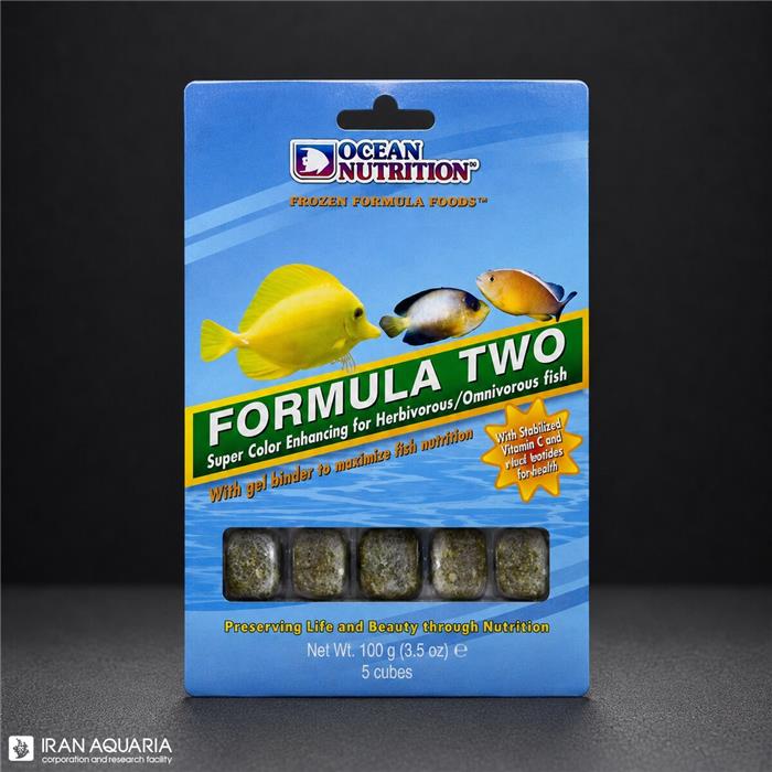 فرمولا تو (Formula Two)