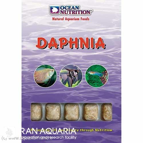 دافني (Daphnia)