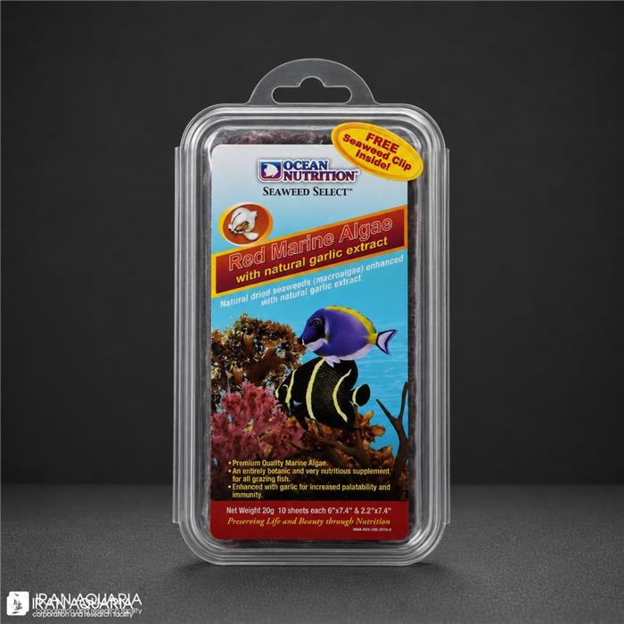 جلبک قرمز (Red Marine Algae) 