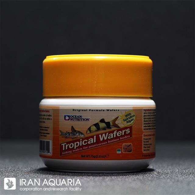 تروپیکال ویفر (tropical wafer)