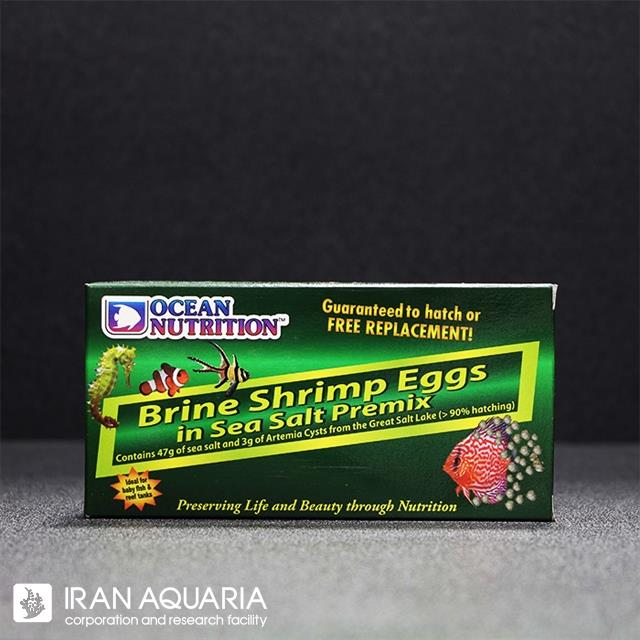 تخم براین شریمپ (brine shrimp eggs)