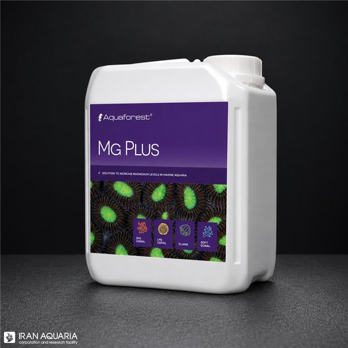 ام جی پلاس (Mg Plus)