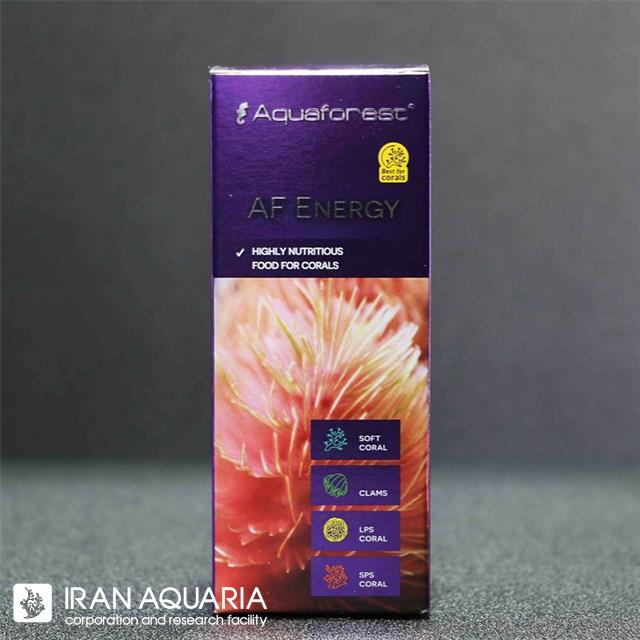 ای اف انرژی (AF Energy)