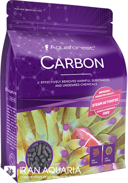 کربن (Carbon)