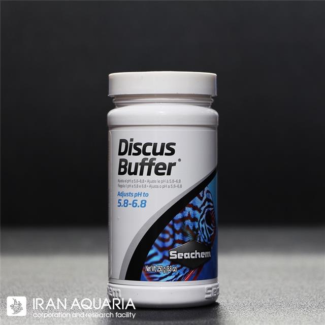 دیسکس بافر (Discuss Buffer)