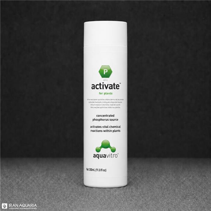 اکتیویت (Activate) 