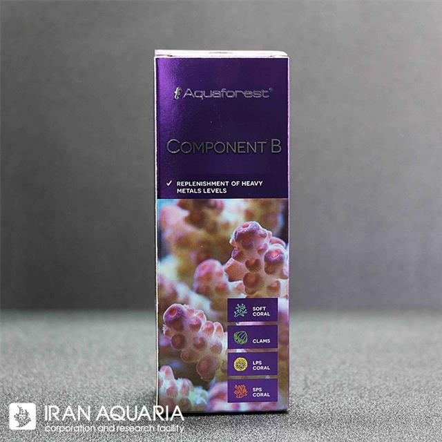 کامپوننت بی (Component B)