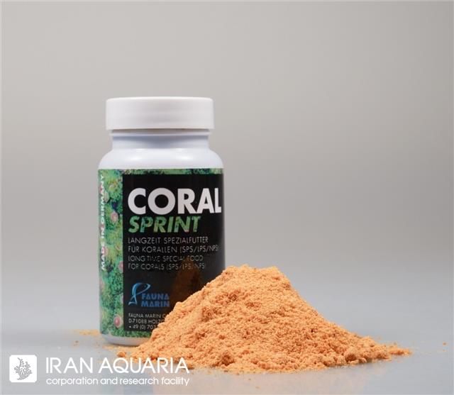 کورال اسپرینت (coral sprint)