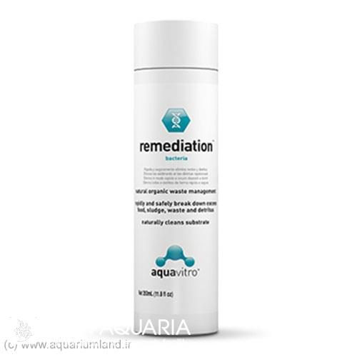 رمیدیشن (Remediation)
