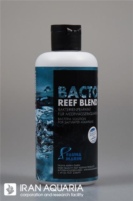 باکتو ریف بلند  (bacto reef blend)