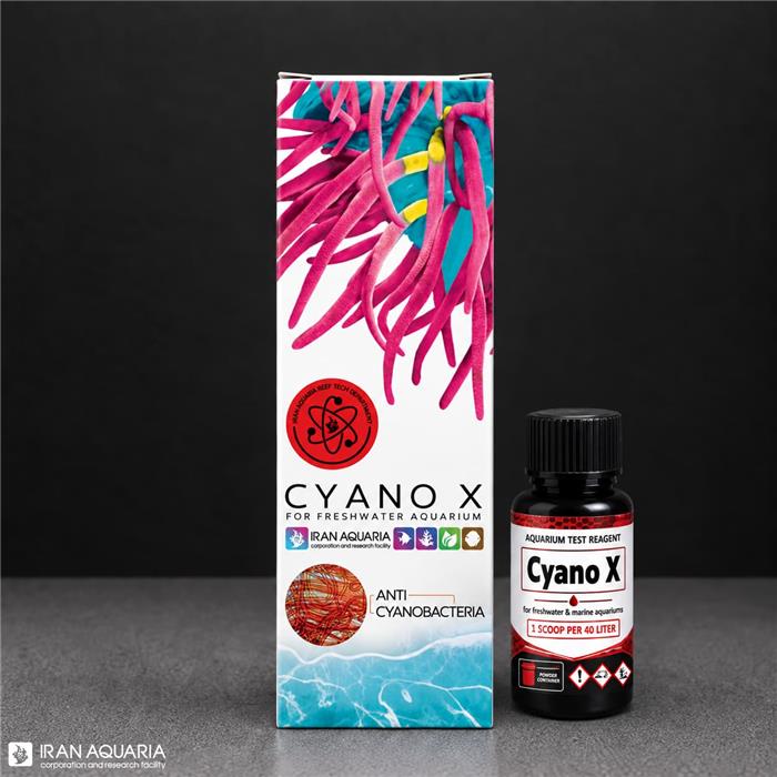 سیانو ایکس (CYANO X)