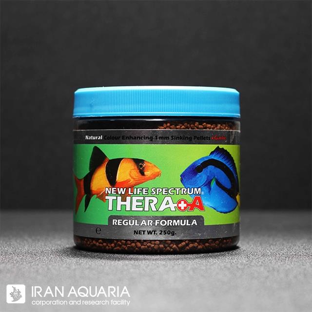ترا ای ریگولار فرمولا (Thera A Regular Formula)