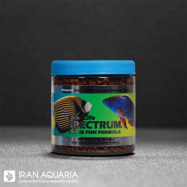 لارج فیش فرمولا (large fish formula)