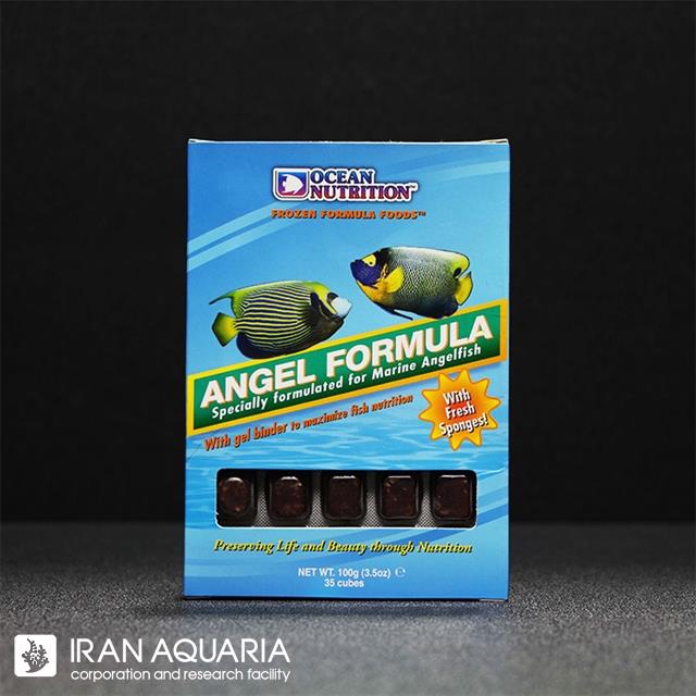 آنجل فرمولا (Angel Formula) 