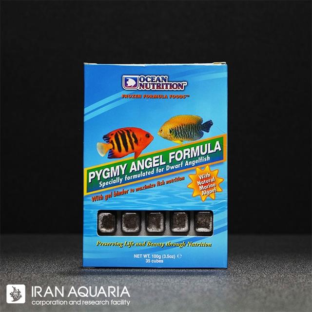 پيگمي آنجل فرمولا (Pygmy Angel Formula) 