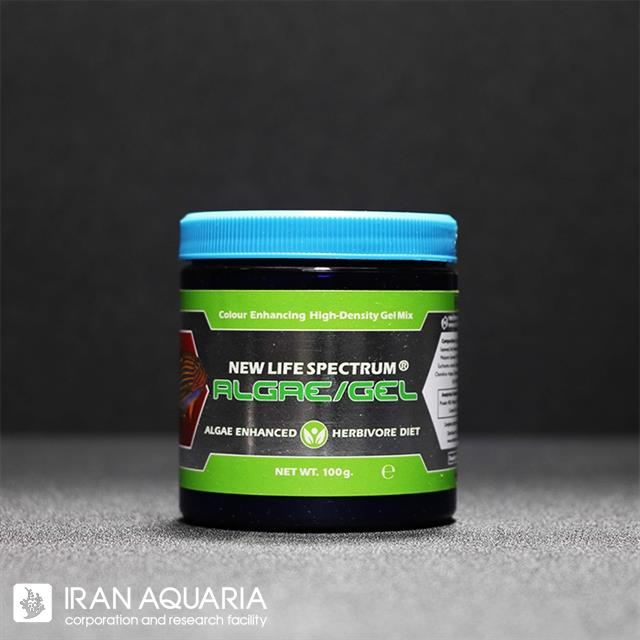 الجی ژل (Algae Gel)