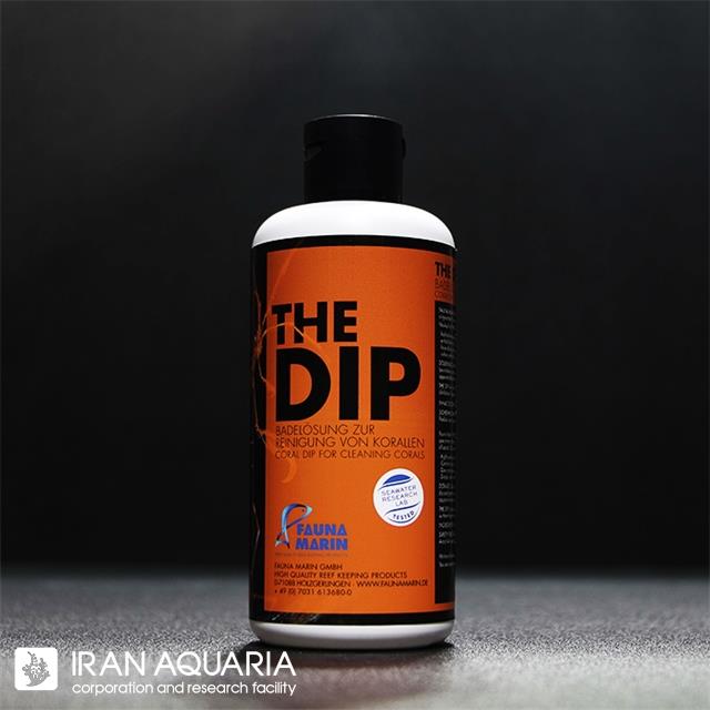 دیپ (The Dip)