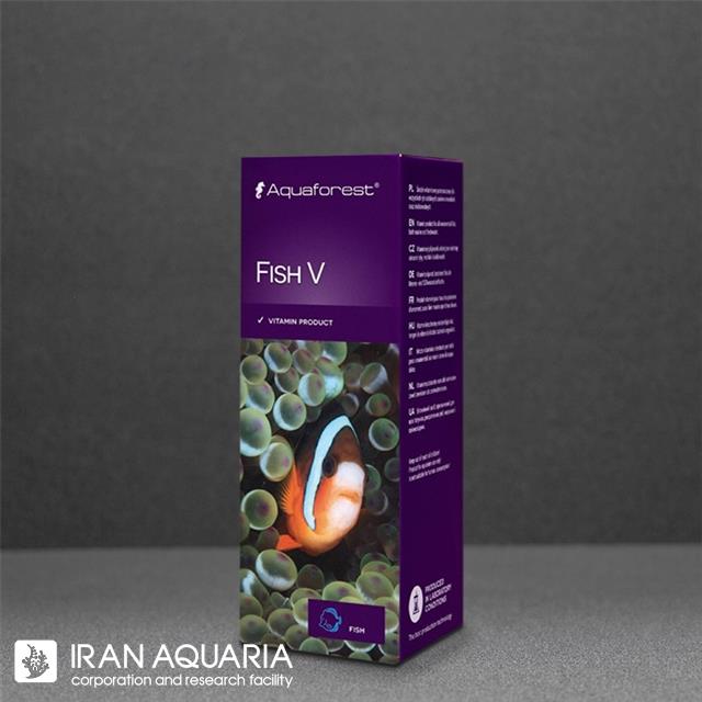 فیش وی (Fish V)
