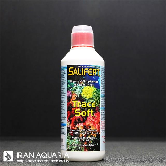 سافت تریس (Trace Soft)
