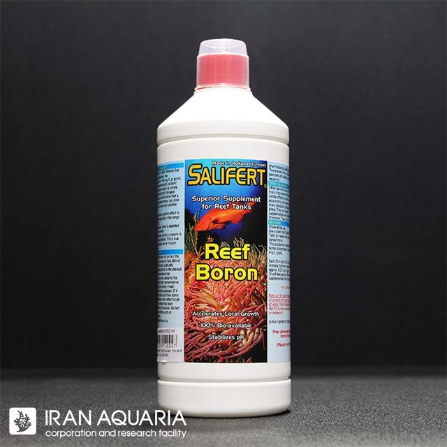 ریف بُرون (Reef Boron)