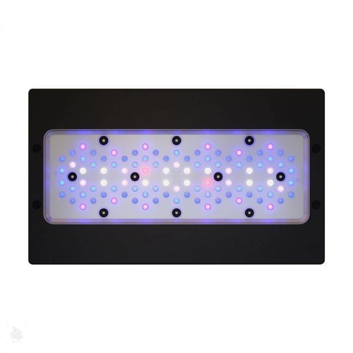 رادیون ایکس ار 30 بلو نسل 6 (Radion XR30 Blue G6) 