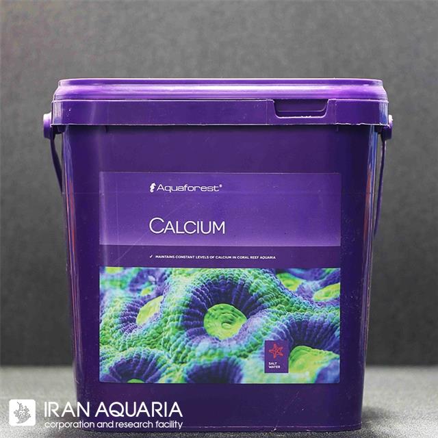 کلسیم (Calcium)