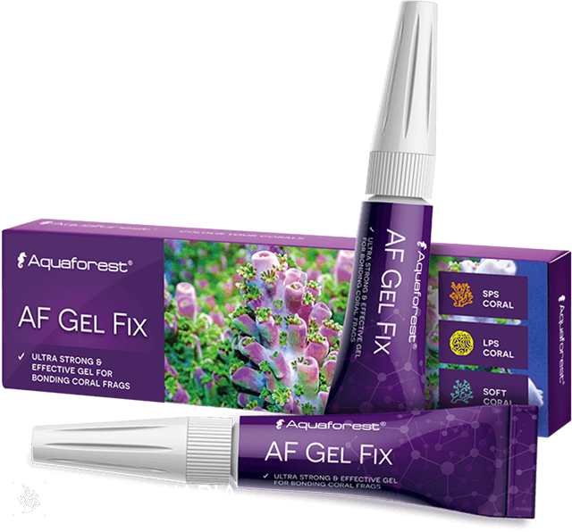  ای اف ژل فیکس (AF Gel Fix)