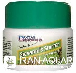 استارتر (GIOVANNI'S STARTER)