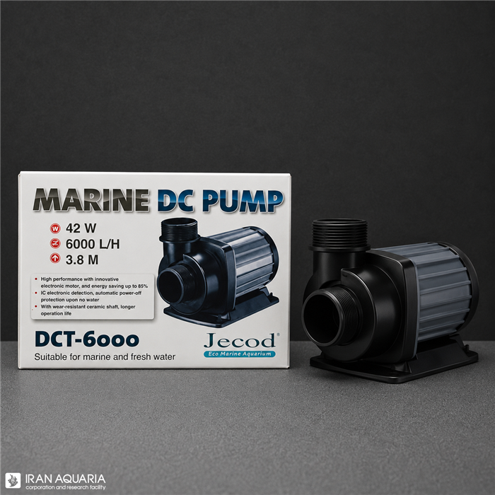 Water Pump DCT-6000