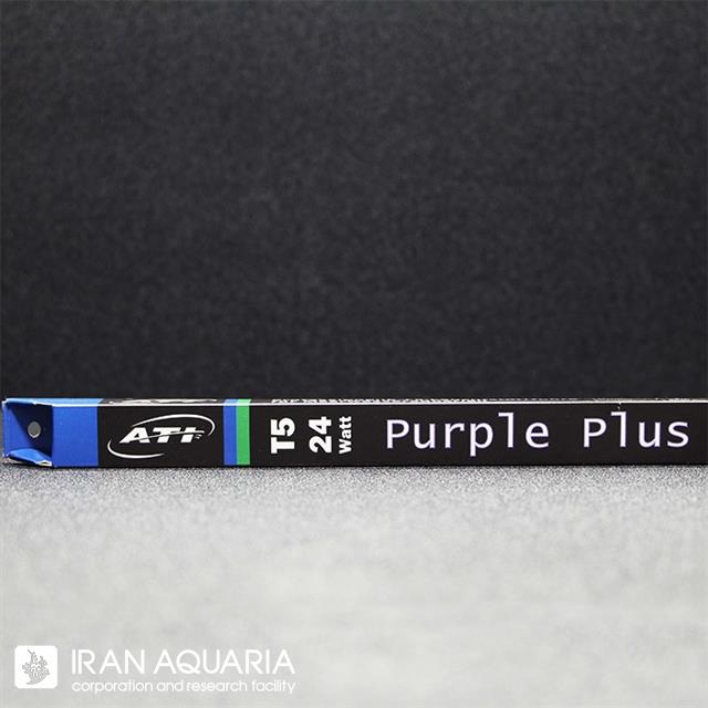 Purple Plus
