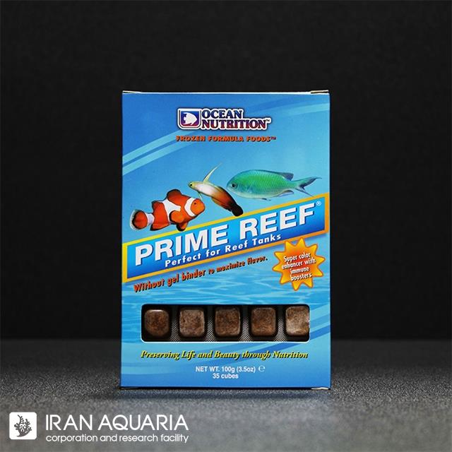 Prime Reef