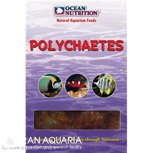 Poly Chaetes