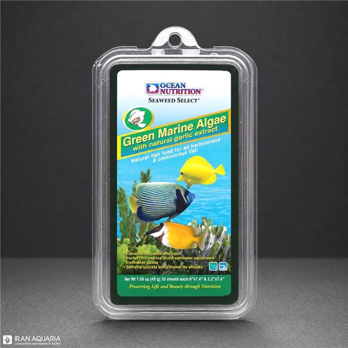 Green Marine Algea
