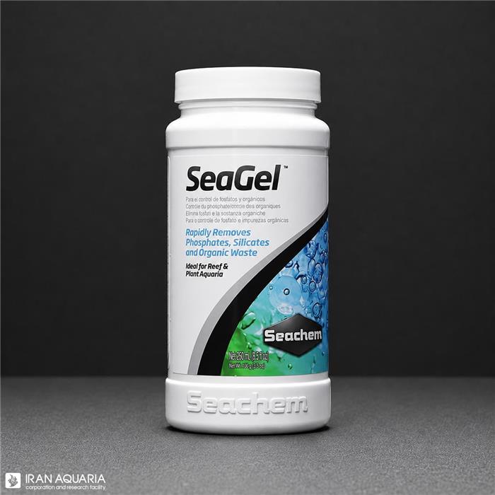 Seagel