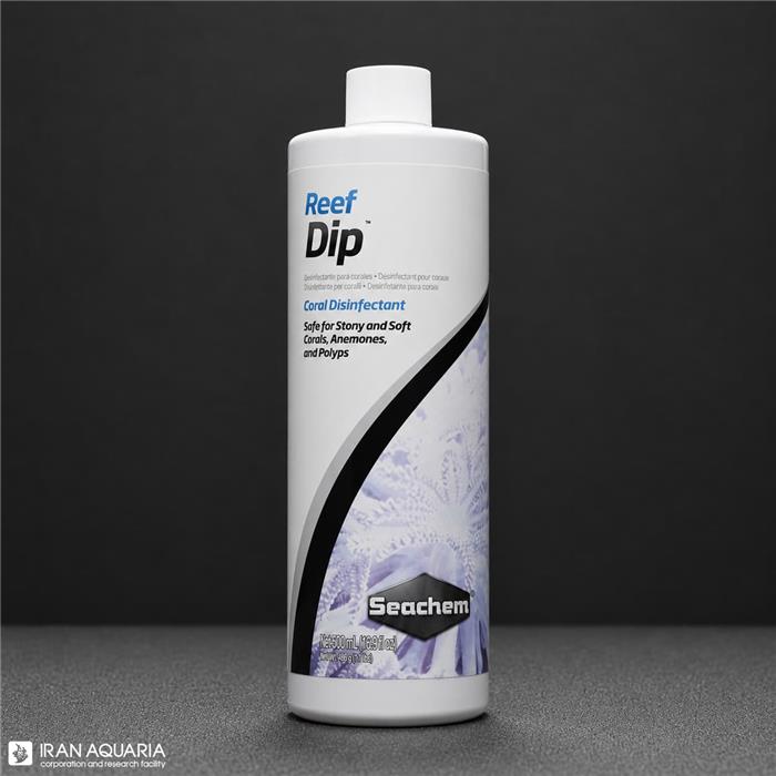 Reef Dip