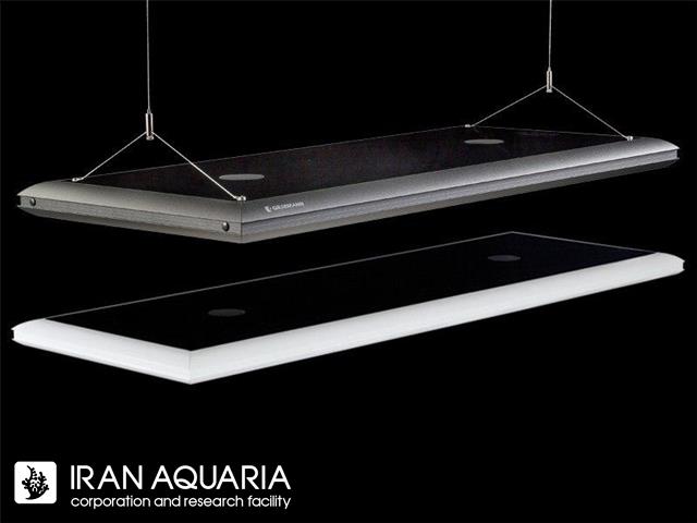 ماتریکس (MATRIXX)