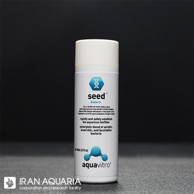 Seed