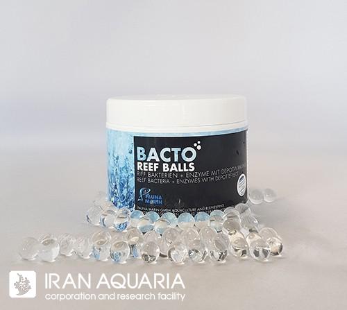 Bacto Reef Balls Effect