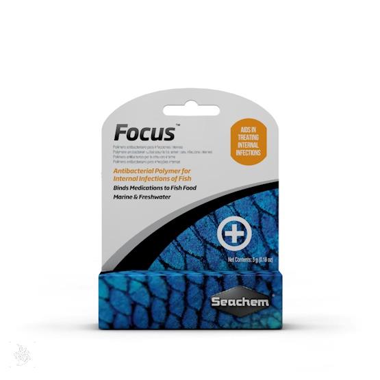 فکوس (focus)