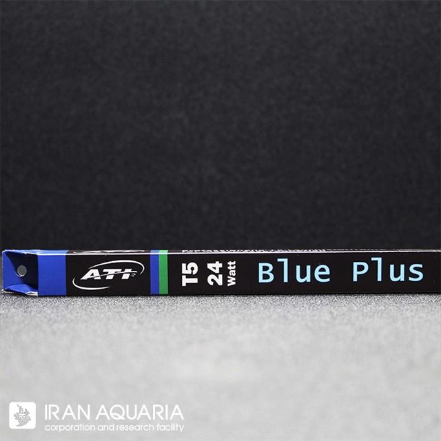 Blue Plus