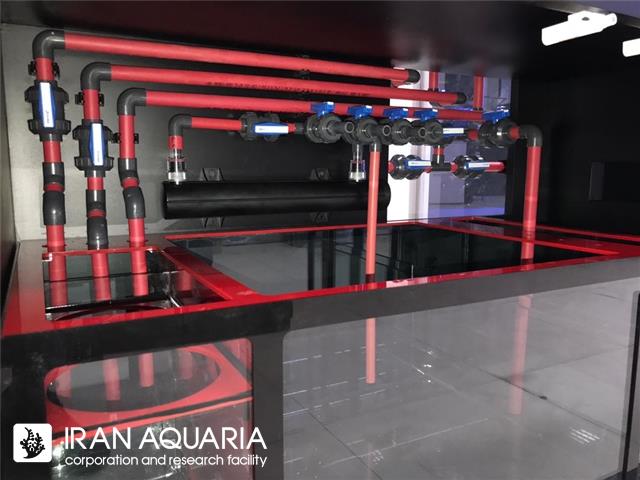 Red Pipe
